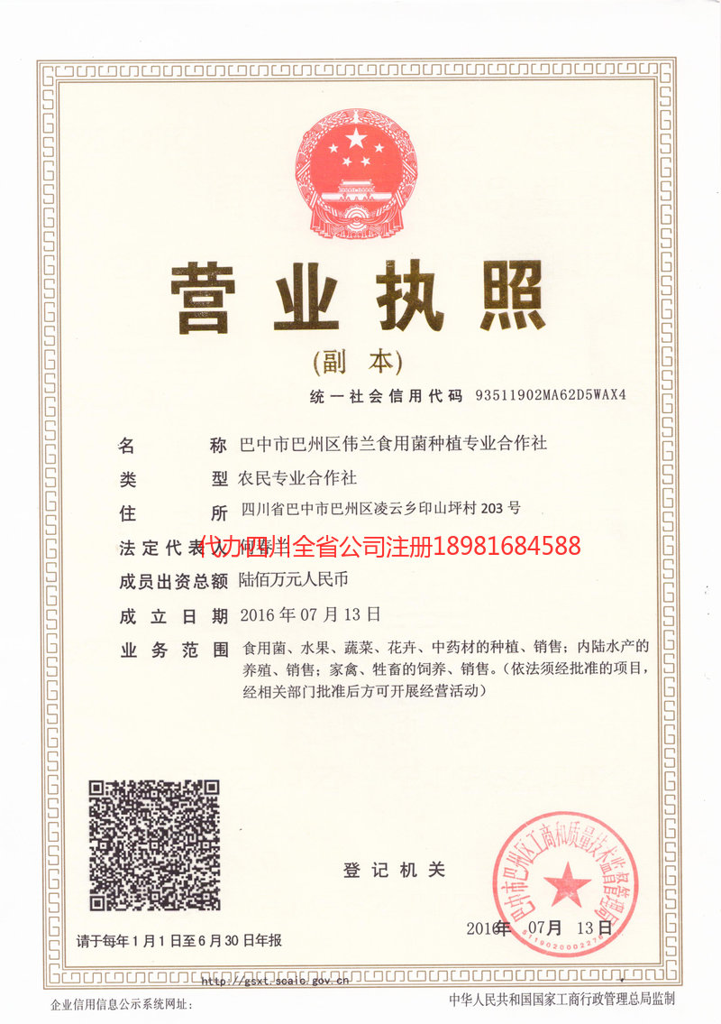 禄丰禄丰伟兰食用菌种植专业合作社